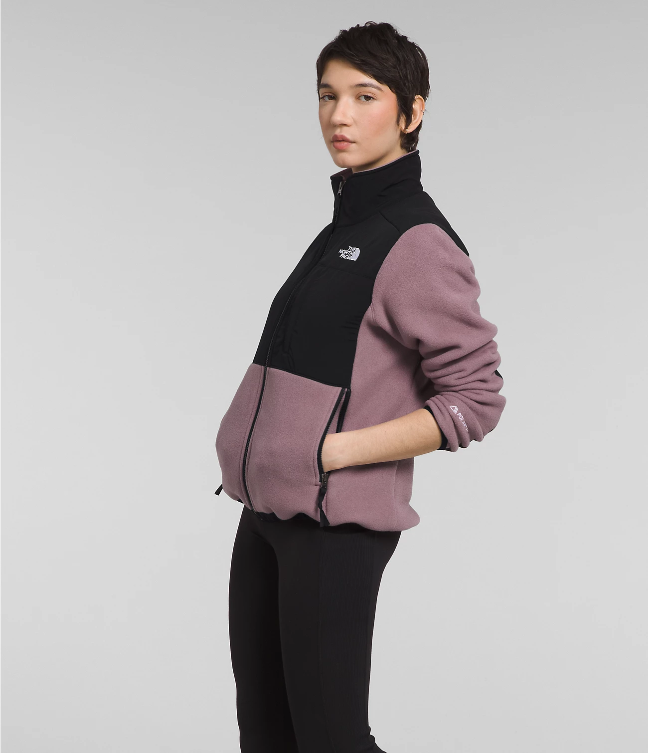 THE NORTH FACE Women Denali Jacket