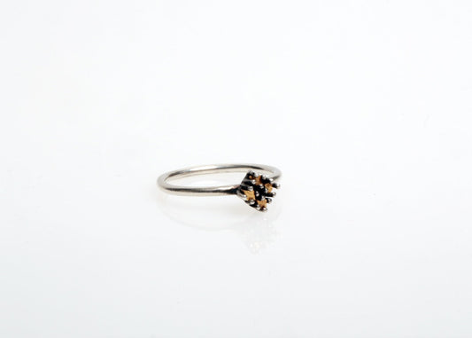 JULIA ZIMMERMANN Fragile Ring Set Gold Pieces